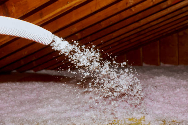 Best Cellulose Insulation in Richlands, NC