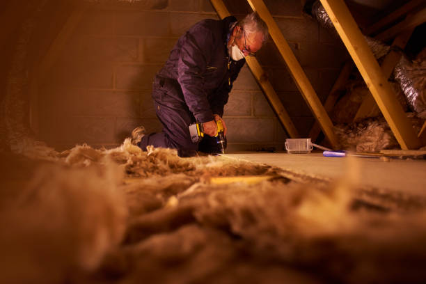 Best Eco-Friendly Insulation in Richlands, NC